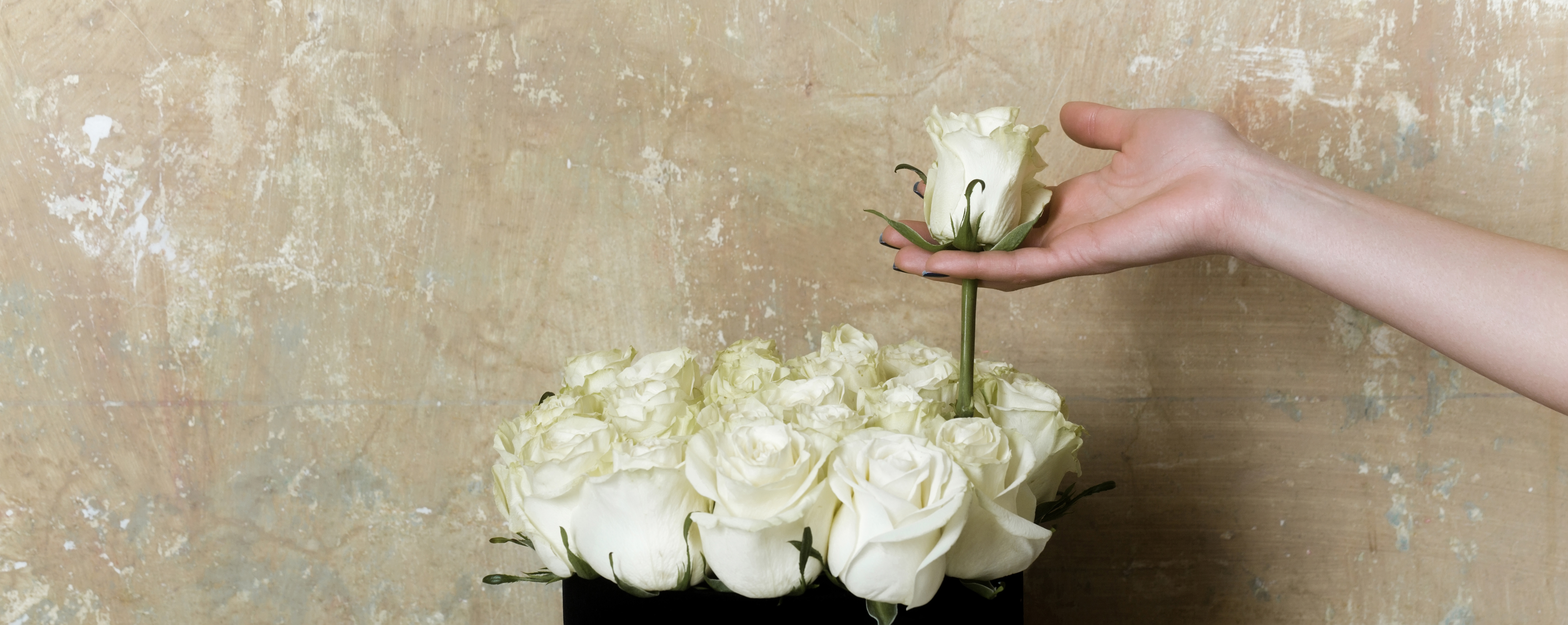 Veranderlijk Bedankt vacature De witte roos | Ad Patres